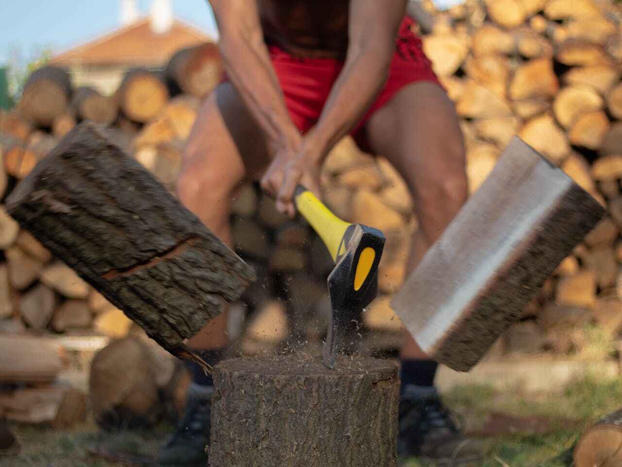 Best Tree Trimming and Pruning  in Heritage Pines, FL